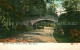 73588840 New_York_City Bridle Path Central Park - Other & Unclassified