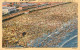 73588802 Coney Island New York A Typical Crowd On A Hot Day Beach Bird S Eye Vie - Andere & Zonder Classificatie