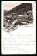 Vorläufer-Lithographie Dobel, 1894, Gasthaus Eyachmühle Mit Wald  - Autres & Non Classés