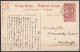 Congo Belge - EP "Stanleyville Habitations De Planteurs" CP 10c Rouge-brun Càd ELISABETHVILLE /10 MAI 1913 Pour Administ - Postwaardestukken