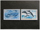TAAF: TB Paire N° 64 Et N° 65, Neufs XX. - Unused Stamps