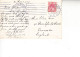 PAESI BASSI  1909 - Gravenhage - Ingang Diergaarde - Collections & Lots
