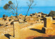 ALGERIE TIPAZA RUINES ROMAINES - Andere & Zonder Classificatie