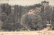 75 PARIS LES BUTTES CHAUMONT - Panorama's