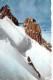 74-CHAMONIX-N°3787-F/0341 - Chamonix-Mont-Blanc