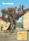 83-RAMATUELLE-N° 4422-A/0035 - Ramatuelle