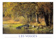 88-LES VOSGES-N° 4424-A/0289 - Other & Unclassified