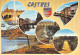 81-CASTRES-N° 4424-C/0267 - Castres