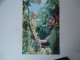 CHINA    POSTCARDS  WOMENSCUTTING GRAPES    FOR MORE PURHASES 10% DISCOUNT - Chine