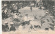 13-Marseille Exposition Coloniale Bataille De Fleurs Attelage Cambodgien - Expositions Coloniales 1906 - 1922