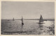 AK - (Bgld) NEUSIEDLERSEE - Segelboote In Der Abendsonne 1952 - Neusiedlerseeorte