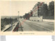 64.  PAU .  Boulevard Des Pyrénées . - Pau