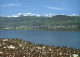 12368080 Staefa Panorama Zuerichsee Glarner Alpen Fliegeraufnahme Staefa - Autres & Non Classés