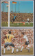 LIBERIA 1998 FOOTBALL WORLD CUP 2 S/SHEETS 2 SHEETLETS AND 6 STAMPS - 1998 – Frankrijk