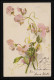 AK Blumen Wicken Zart Weiß & Lachs /Pfirsich Farben, ALTONA OTTENSEN 60.5.1903  - Sonstige & Ohne Zuordnung