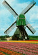 CPM - MOULIN à VENT - Hollande-Méridionale (à Identifier) ... - Windmills