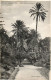 ALGERIE - ALGER - 16 - Jardin D'Essai Allée Des Palmiers - Collection Régence A. L. édit. Alger (Leroux) - Algeri