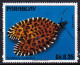 T.-P. Gommé Dentelé Neuf** - Papillon Coloré (Pseudatteria Leopardina) Papillon De Nuit - 1519 (Yvert) - Paraguay 1976 - Paraguay