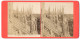 Stereo-Foto Giacomo Brogi, Firenze, Ansicht Milano, Ala Del Sud, Kathedrale, Dom  - Stereo-Photographie