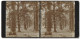 Stereo-Fotografie Unbekannter Fotograf, Ansicht Dubrow, Blick In Den Eichenwald Bei Dubrow, Jagdgebiet Des Kaisers  - Photos Stéréoscopiques