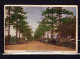 Singapour - - Cotton Plants At Jalan Busar - 1922 - Singapore