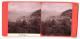 Stereo-Foto G. Brogi, Firenze, Ansicht Bellagio, Blick Nach Dem Ort  - Photos Stéréoscopiques