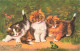 FETES - VOEUX - Bonne Année - Chatons - Grenouille - Carte Postale Ancienne - Neujahr