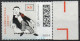 Deutschland 2023. Loriot, Marke Aus Block, Mi 3795 Gestempelt - Used Stamps