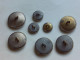 (Boutons Anciens - Banque) -  Lot De 8 Boutons " Credit Du Nord - LILLE " ..........voir Scans Et Détail - Buttons