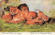 Illustrateur Illustration Raphael Tuck Maude Scrivener Oilette Lions Lowe Und Lowin Mit Jungen - Tuck, Raphael