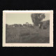 Photo 10.3 X 7.4 - Madagascar / Lac D'Itasy 1956 / Village Et Habitant --- Del168 - Afrique