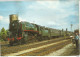 JV / CPSM Train LOCOMOTIVE RAIL Carte Postale // Vapeur 29013 BERTRIX En JUIN 1979 - Eisenbahnen