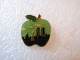 PIN'S  NEW-YORK  POMME - Città