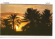 SUD TUNISIEN.- COUCHER DE SOLEIL SUR L'OASIS.- TUNEZ. - Tunesien