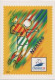 Delcampe - FRANCE-Entiers Postaux-Série De 8 Cartes Différentes-Coupe Du Monde De Football 1998 - Cartes Postales Types Et TSC (avant 1995)