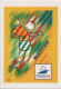 Delcampe - FRANCE-Entiers Postaux-Série De 8 Cartes Différentes-Coupe Du Monde De Football 1998 - Postales Tipos Y (antes De 1995)