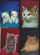 Delcampe - MOOI LOT MET KATTEN VAN  40  KAARTEN. .( Lot 1 )   ZIE AFBEELDINGEN - Chats