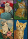 Delcampe - MOOI LOT MET KATTEN VAN  40  KAARTEN. .( Lot 1 )   ZIE AFBEELDINGEN - Chats