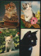 MOOI LOT MET KATTEN VAN  40  KAARTEN. .( Lot 2 )   ZIE AFBEELDINGEN - Gatos