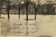 1903 - EPINAL  :CARTE PHOTO  LE COURS, INONDATION DU 24.12.19 - Photogr. CAIROL Cachet Au Dos  - SUREMENT UNIQUE - Epinal