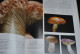 Delcampe - EPINAT Photos STAROSTA Le Monde Des CHAMPIGNONS Editions Du CHENE 1998 Epuisé Amanite Bolet Agarics Photographies  - Natur