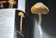 Delcampe - EPINAT Photos STAROSTA Le Monde Des CHAMPIGNONS Editions Du CHENE 1998 Epuisé Amanite Bolet Agarics Photographies  - Natualeza