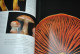 Delcampe - EPINAT Photos STAROSTA Le Monde Des CHAMPIGNONS Editions Du CHENE 1998 Epuisé Amanite Bolet Agarics Photographies  - Natur