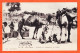 24495 / (•◡•) ♥️ LE CAIRE Egypte ◉ Ethnic Fellahs Et Chameaux Au Bazar ⭐ CAIRO Egypt Camels Bazaar 1900s ◉ H-K 95 - Caïro