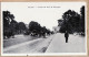 24259 /⭐ ◉  PARIS XVIe Avenue Du Bois De BOULOGNE 1905s Etat: PARFAIT - Arrondissement: 16