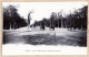 24255 /⭐ ◉  BOIS De BOULOGNE PARIS XVIe L'Allée Des ACCACIAS Cliché 1900sEtat: PARFAIT - Arrondissement: 16