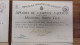 1926 - 1930 Uruguay National Rowing Champion 4 Diplomas With President Of Republic Autographs Brum Terra Serrato Nice - Roeisport