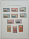 Delcampe - Collection De Timbres OUBANGUI,  Neufs *. - Collections (without Album)