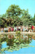 Nikitsky Botanical Garden - Decorative Pool In Lower Park - Crimea - 1974 - Ukraine USSR - Unused - Ukraine