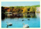 Odessa - Odesa - Lake In The Victory Park - Swan - Birds - 1970 - Ukraine USSR - Unused - Oekraïne